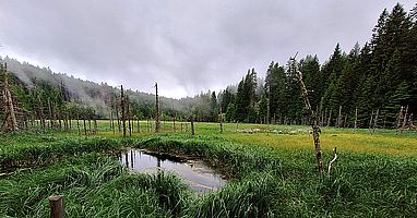 Lago Bianco